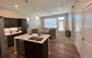 Apartment Living Room And Kitchen